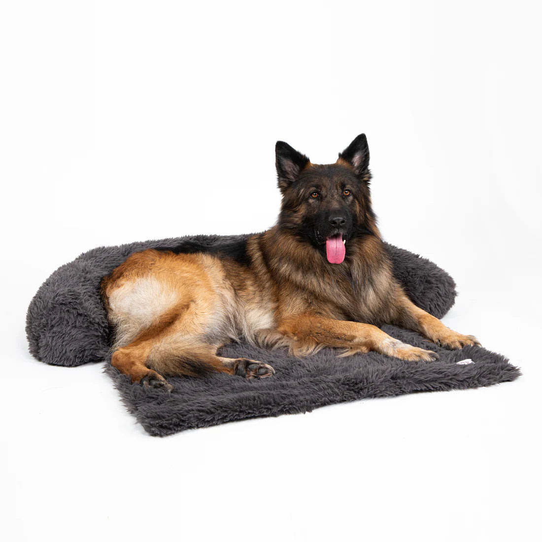 Bellowerk™ Intelligenter Sofaschutz für Hunde – Waschbar & Rutschfest