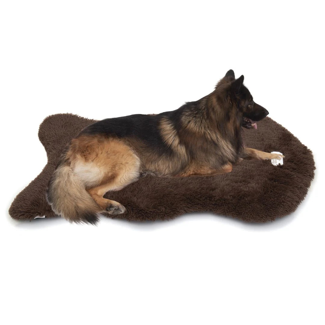 Bellowerk™ Orthopädisches Hundebett – Gelenkschonend & Waschbar
