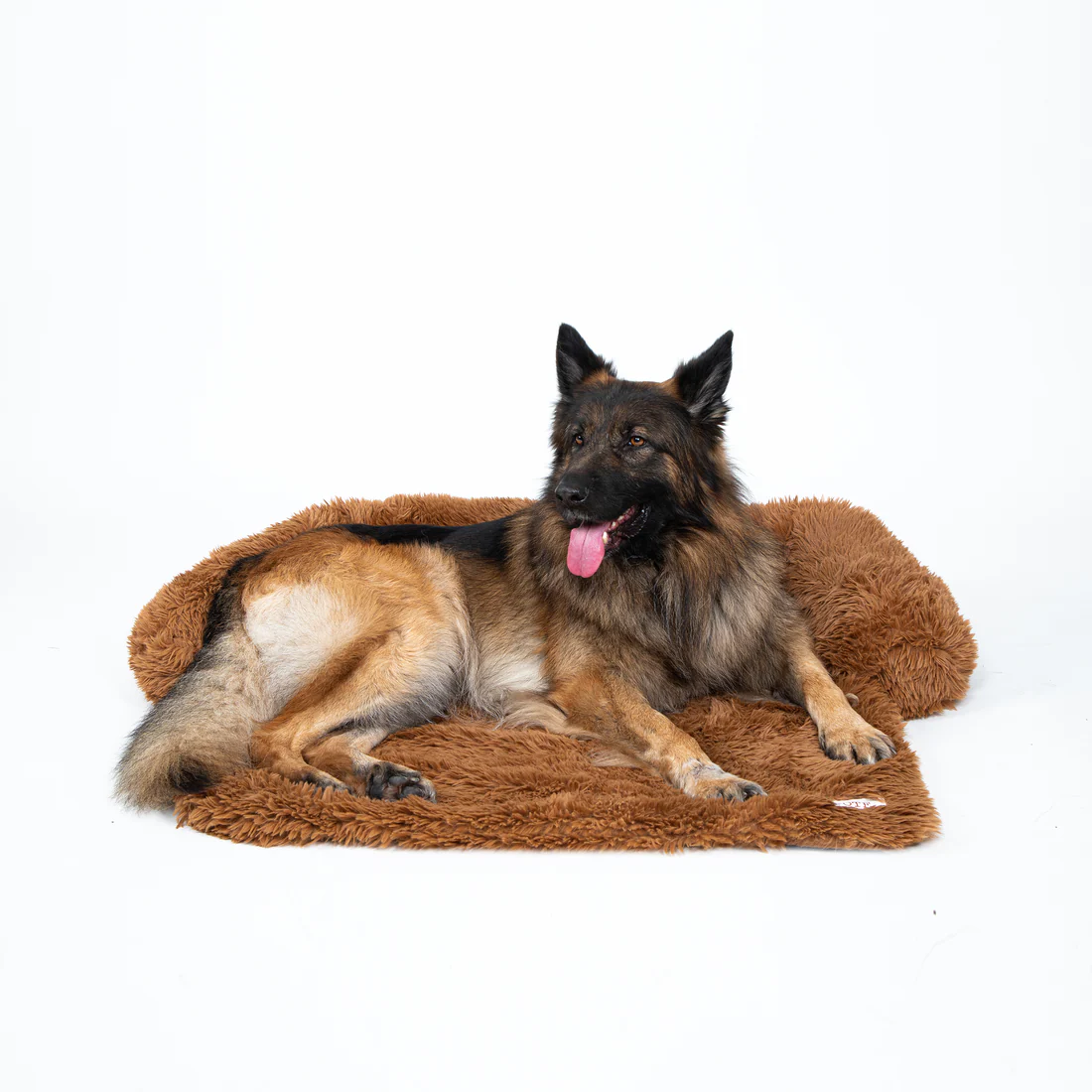 Intelligente Lösung für Hunde auf dem Sofa