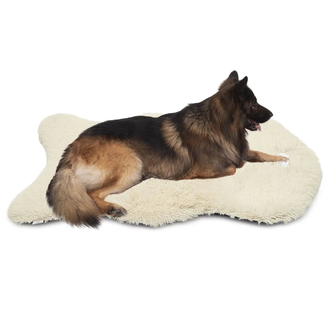 Bellowerk™ Orthopädisches Hundebett – Gelenkschonend & Waschbar