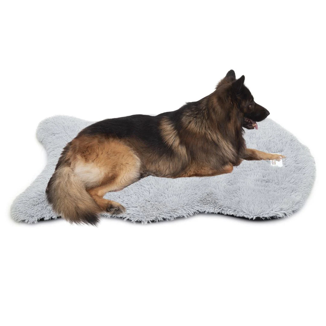 Bellowerk™ Orthopädisches Hundebett – Gelenkschonend & Waschbar