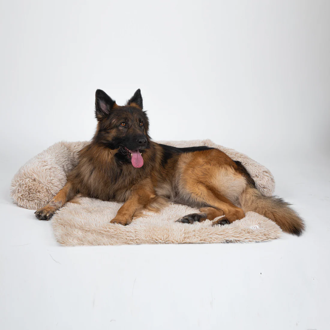Bellowerk™ Intelligenter Sofaschutz für Hunde – Waschbar & Rutschfest