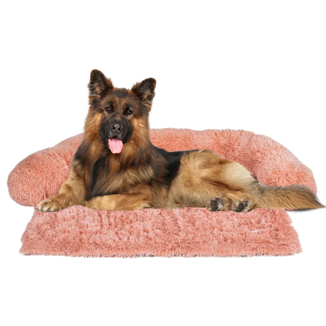 Bellowerk™ Intelligenter Sofaschutz für Hunde – Waschbar & Rutschfest