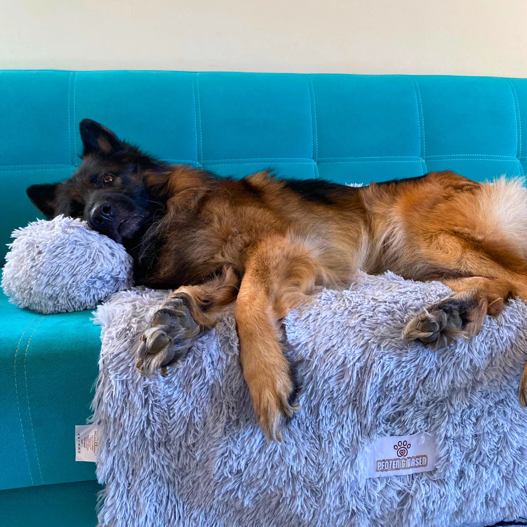 Bellowerk™ Intelligenter Sofaschutz für Hunde – Waschbar & Rutschfest