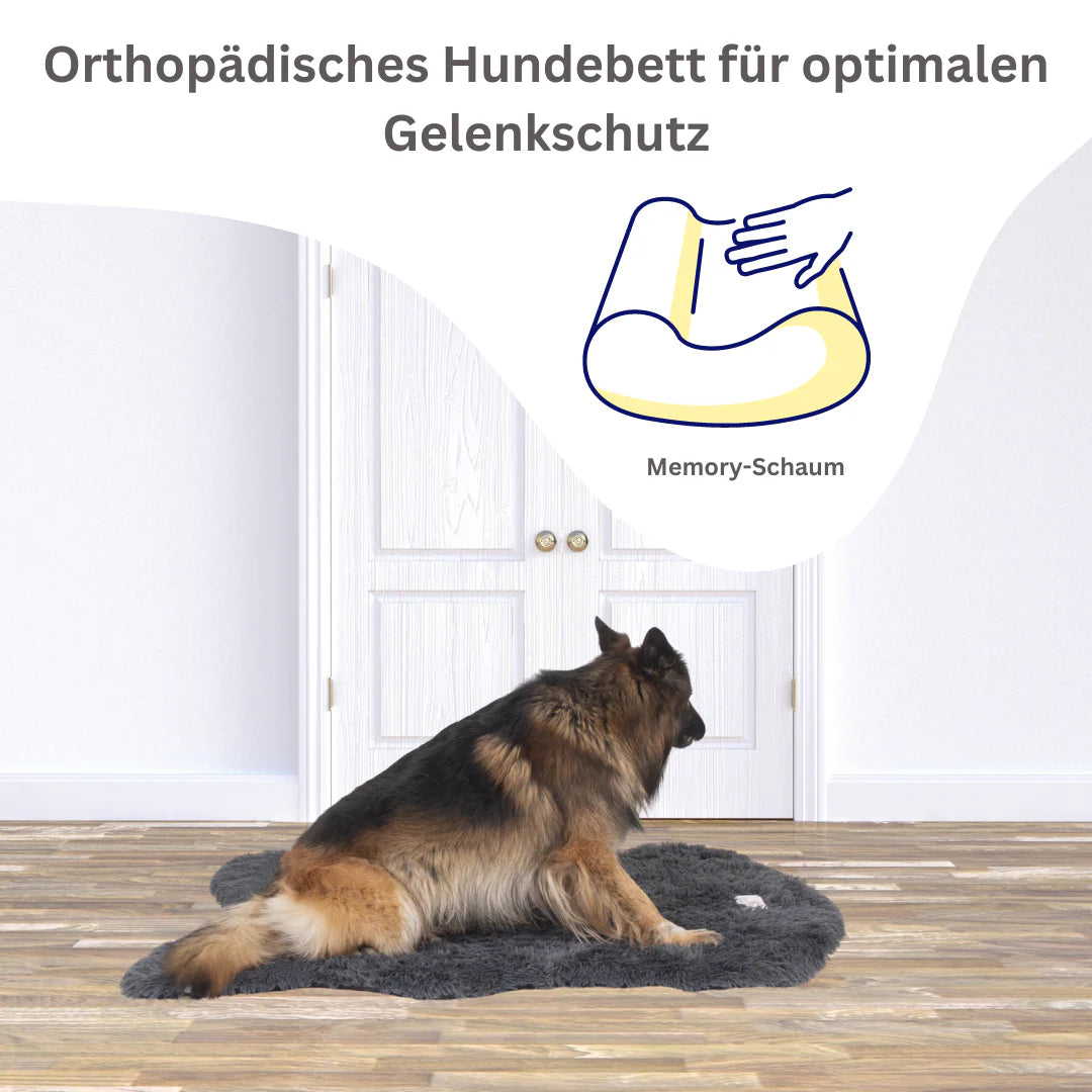 Bellowerk™ Orthopädisches Hundebett – Gelenkschonend & Waschbar