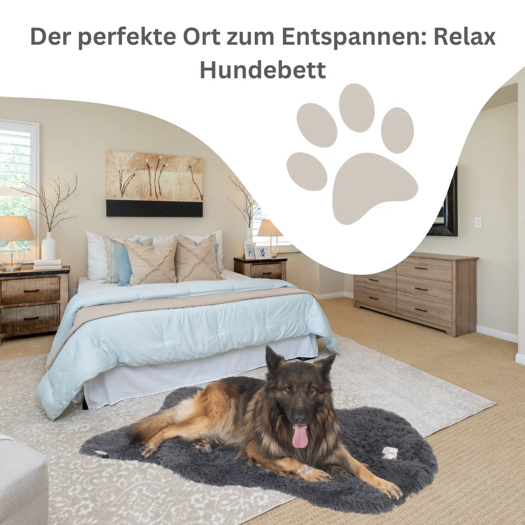 Bellowerk™ Orthopädisches Hundebett – Gelenkschonend & Waschbar