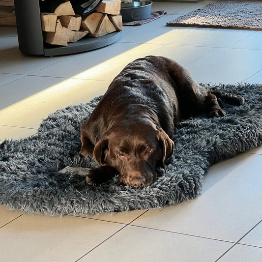 Bellowerk™ Orthopädisches Hundebett – Gelenkschonend & Waschbar