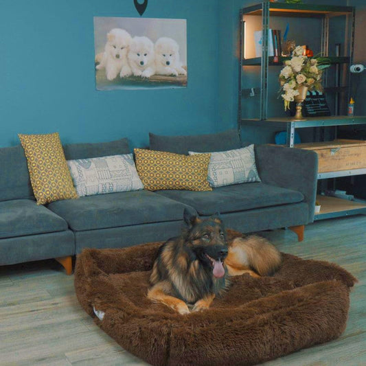 Bellowerk™ raumQuadrat – The cozy, stylish pet bed